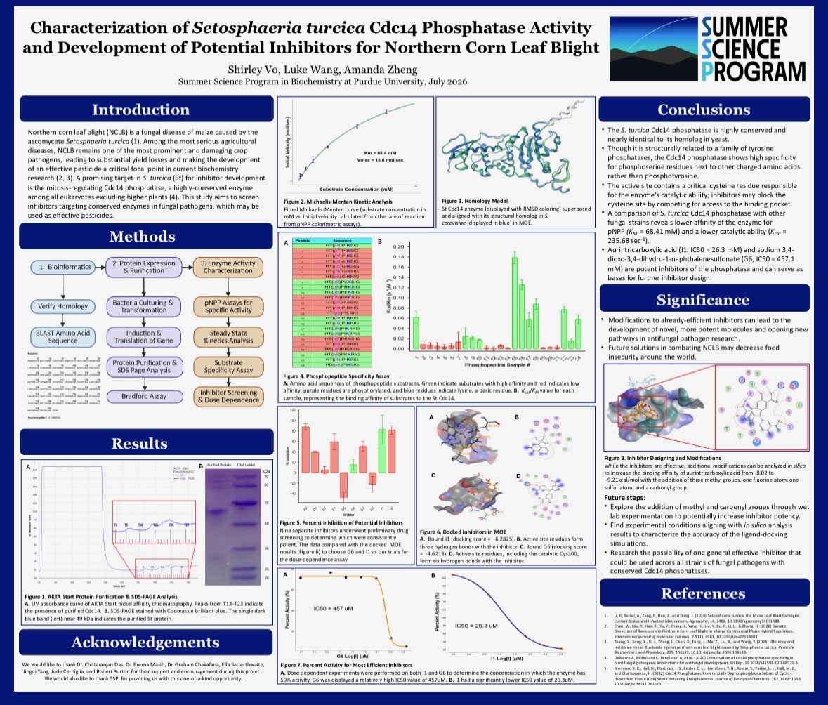 Student research poster about fungal enzyme inhibitors